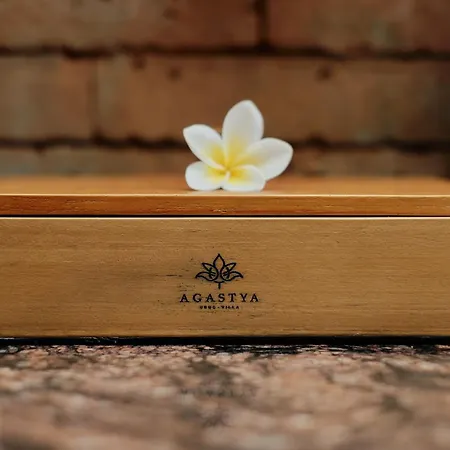 Agastya Ubud Villa Buitenkant foto