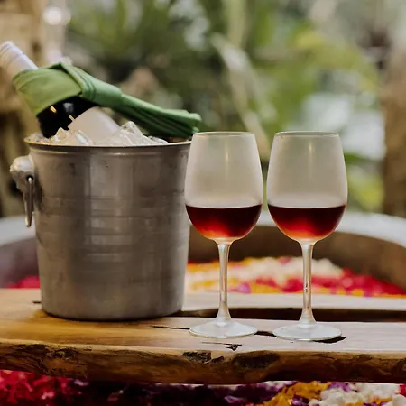 Agastya Ubud Villa Buitenkant foto